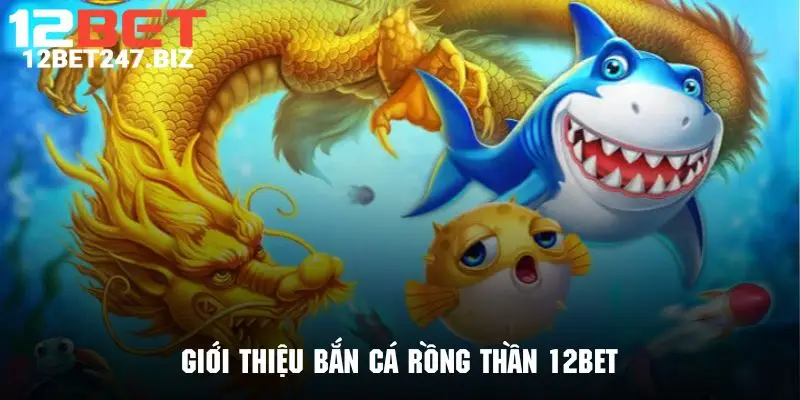 Tìm hiểu vài nét cơ bản nhất về siêu phẩm bắn cá rồng thần 12BET