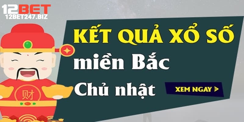 Hướng dẫn toàn tập khi tham gia chơi xổ số Bắc 